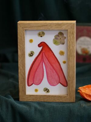 clito 1 Clito fleuri 2