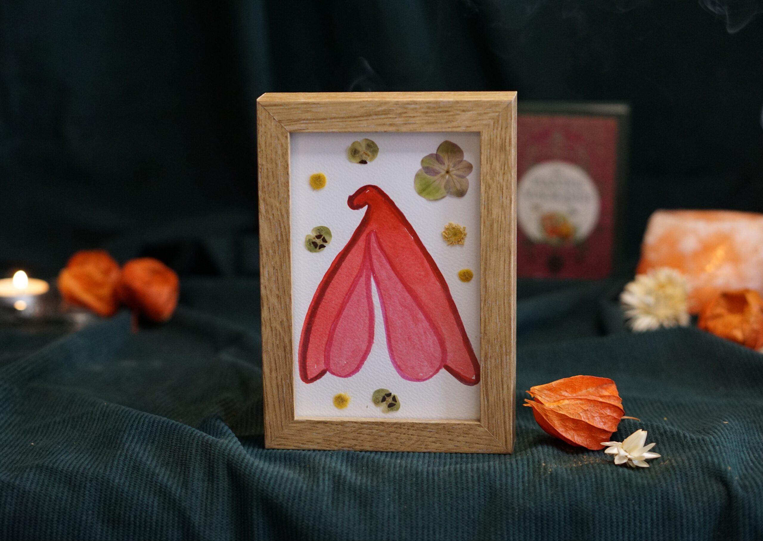 clito 1 Clito fleuri 2