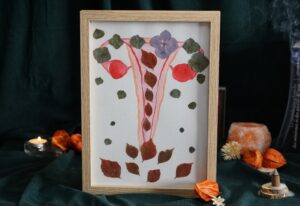 utérus 1 Utérus fleuri 1