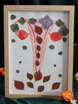 utérus 1 Utérus fleuri 1