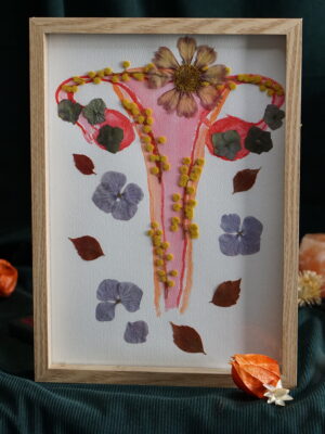 utérus 2 Utérus fleuri 2