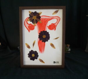 Uterus fleuri