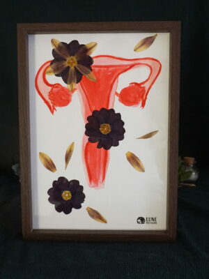 Uterus fleuri