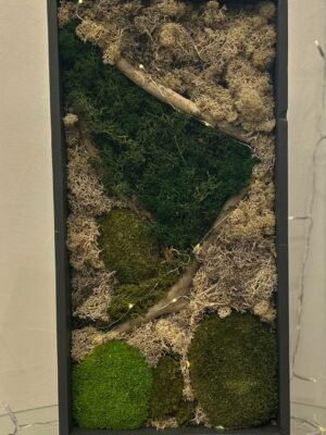 cadre végétal stabilisé