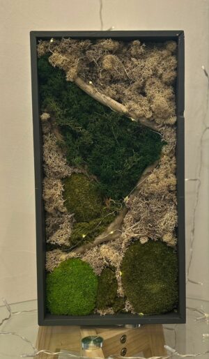 cadre végétal stabilisé