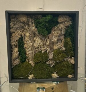 cadre végétaux stabilisé