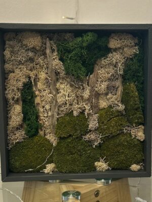 cadre végétaux stabilisé